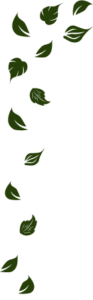 top-leaves